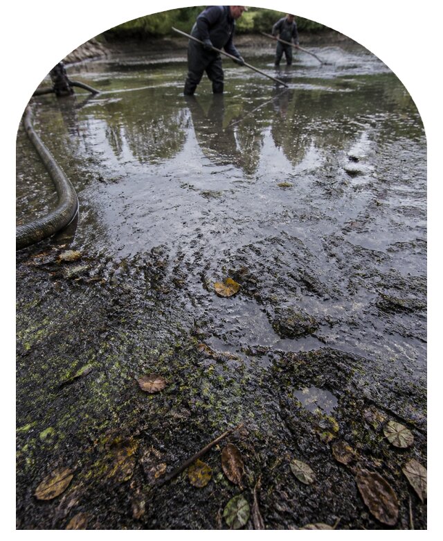 Очистка пруда в Назарове от ила мусора и водорослей с вывозом